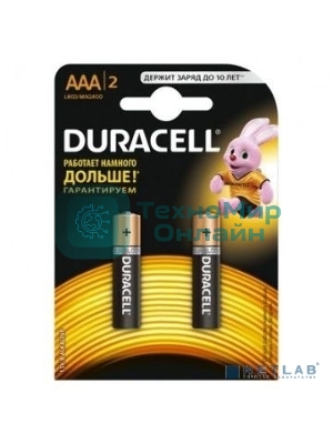 Батарея Duracell Basic CN LR03-2BL AAA (2шт)