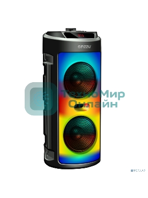 Акустическая система Midi GM-231 TWS/BT/USB/TF/FM/ДУ черный