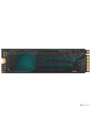 Накопитель SSD ExeGate NextPro KC2000TP240, 240Gb, M.2 2280, PCIe 3.0 x4, NVMe, R/W 1500/900