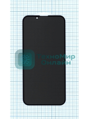 Защитное стекло Privacy 