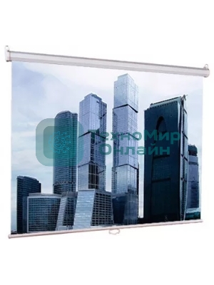 Настенный экран Lumien Eco Picture 229х305 см (рабочая область 221х297 см) Matte White прямоуголный корпус, возможность потолочн./настенного крепления, уровень в комплекте, 4:3