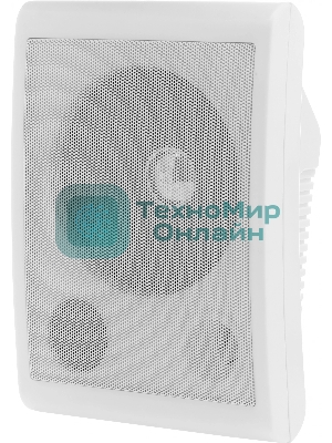 Громкоговоритель Tantos TSo-SW6a настенный 6Вт белый (00-00025704)