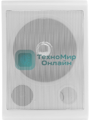 Громкоговоритель Tantos TSo-SW6a настенный 6Вт белый (00-00025704)