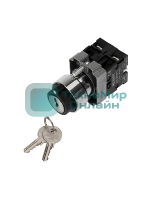 Переключатель Rexant BD32 3P с замком NO