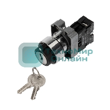 Переключатель Rexant BD21 2P с замком NO