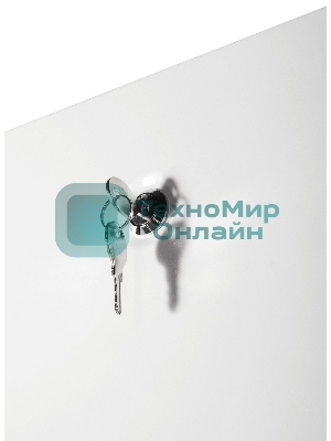 Шкаф телекоммуникационный напольный ЭКОНОМ 48U (600 × 800) дверь стекло, дверь металл