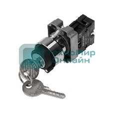 Переключатель Rexant BD21 2P с замком NO