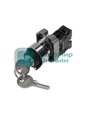 Переключатель Rexant BD21 2P с замком NO