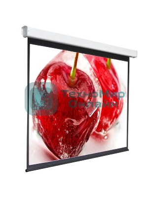 Экран 240x240см Digis Electra-F DSEF-1108 1:1 настенно-потолочный рулонный (моторизованный привод)