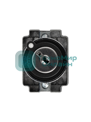 Переключатель Rexant BD21 2P с замком NO