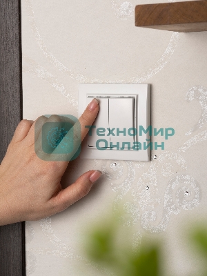 Выключатель 2-клавишный СП,10А, белый EKF Basic Минск