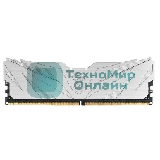 Оперативная память NETAC, DDR5, 16Gb (1x16Gb), 4800MHz, CL40, DIMM, с радиаторами, белый