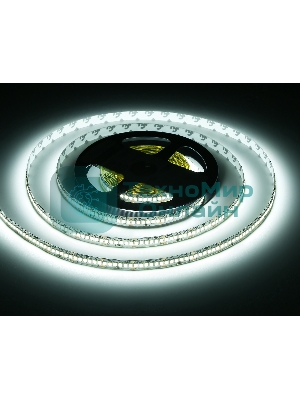 Светодиодная лента Ambrella light GS3503 2835 240Led /22W m/ 24V IP20 6500K/ 5000*10*1.2mm (2 конт.)