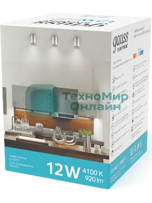 Светильник светодиодный накладной Gauss HD004 12W (хром сатин) 4100K 79x100мм HD004