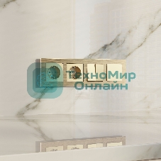 Рамка на 4 поста  AluMax (шампань) W0043511