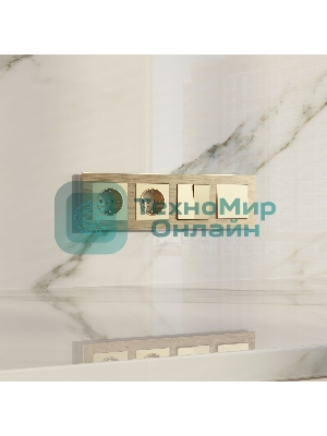 Рамка на 4 поста  AluMax (шампань) W0043511