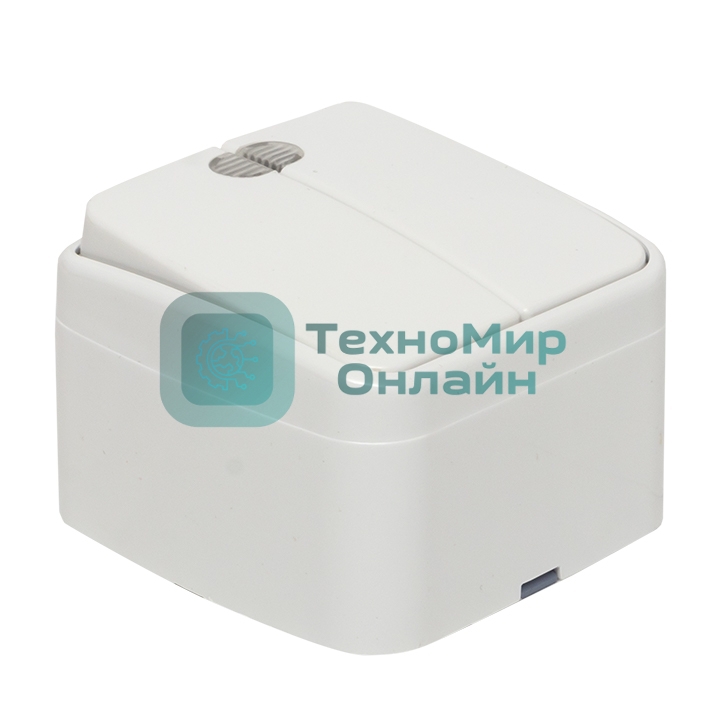 Выключатель 2-клавишный ОП 10А с индикатором белый EKF Basic Минск