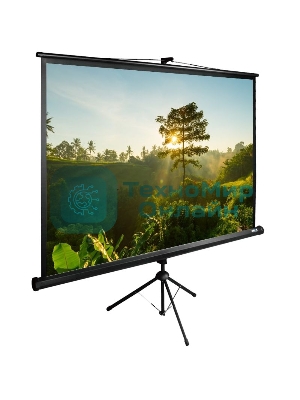 Экран Cactus 200x200 см TriExpert CS-PSTE-200х200-BK 1:1 напольный рулонный