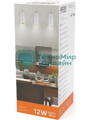 Светильник Overhead накл цил 12W 900lm 3000K 170-240V IP20 79*200мм белый золото LED