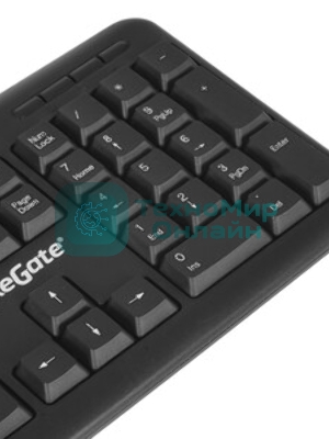 Клавиатура проводная ExeGate Professional Standard LY-405 (EX287138RUS), USB, черный