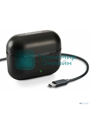 Наушники TWS Panasonic RZ-B110WDG-K черный, внутриканальные, Bluetooth