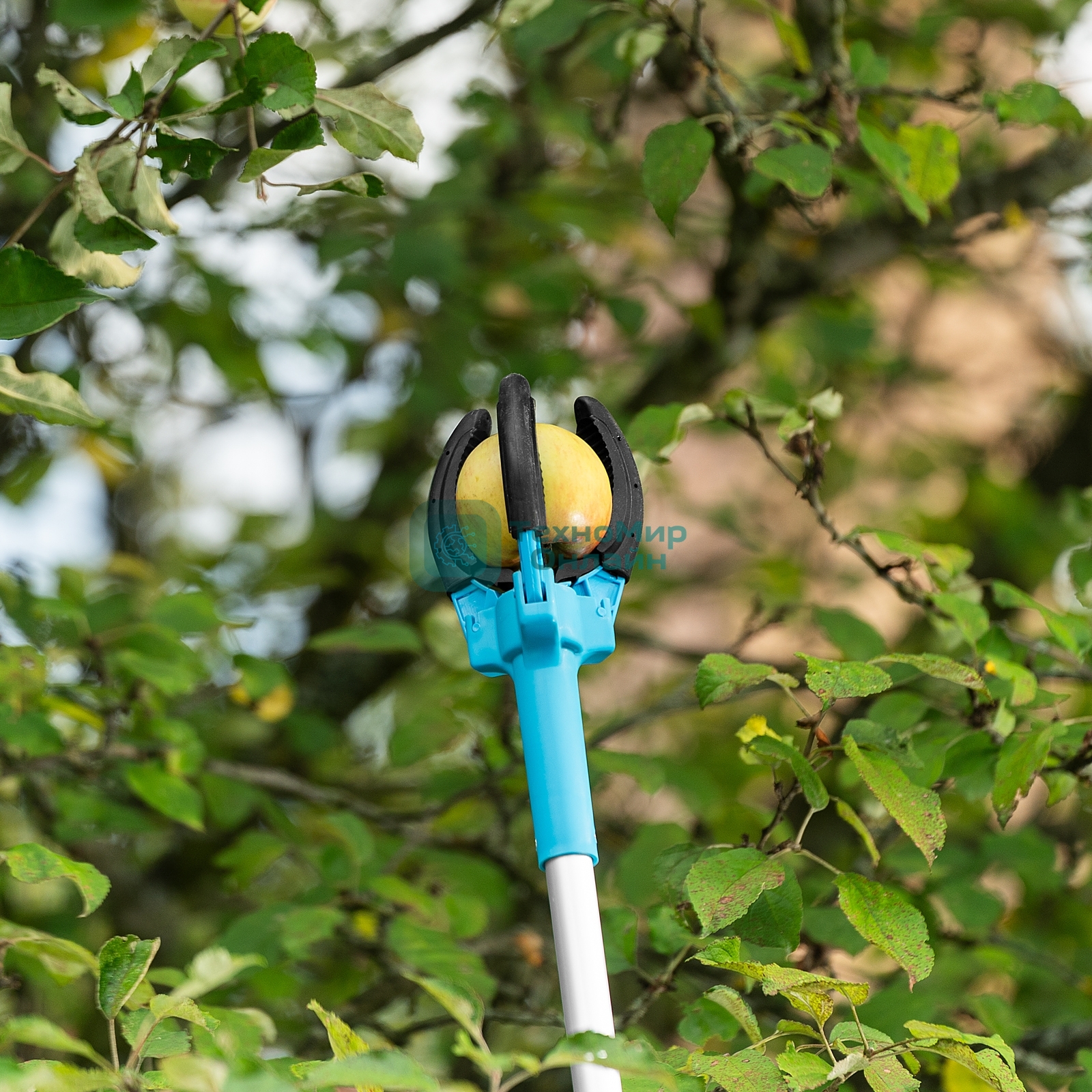 Плодосъемник механический LUXE Palisad 1900 мм, алюминиевая штанга