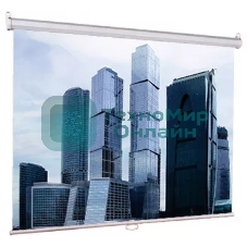 Настенный экран Lumien Eco Picture 120х160см (рабочая область 114х154 см) Matte White восьмигранный корпус, возможность потолочн./настенного крепления, уровень в комплекте, 4:3 (треугольная упаковка)