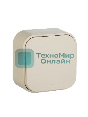 Выключатель 10A 1-клав., сл. кость Quteo