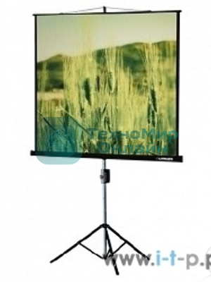 Экраны LUMIEN Lumien Экран на треноге 180x180 см Eco View LEV-100102 1:1 с возможностью настенного крепления