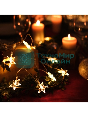 Гирлянда светодиодная Neon-night 