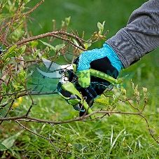 Секатор прямого реза Сибртех 185 мм, пластиковые рукоятки