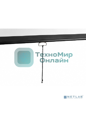 Экран 240x240см Digis Optimal-D DSOD-1107 1:1 настенно-потолочный рулонный