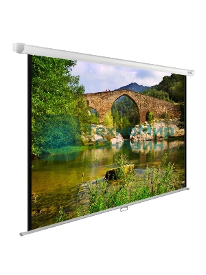 Экран Cactus 220x165 см WallExpert CS-PSWE-220x165-WT 1:1 настенно-потолочный рулонный белый