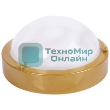 Светильник ЭЛЕТЕХ НББ-03-60-003 (Терма 3) IP65 золото