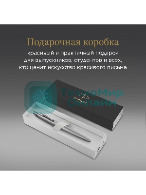 Ручка шариковая Parker Jotter Monochrome XL SE20 (CW2122756) Stainless Steel, M, синие чернила, подарочная коробка