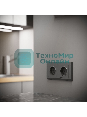 Рамка на 2 поста WERKEL Stark (графит матовый) W0021864