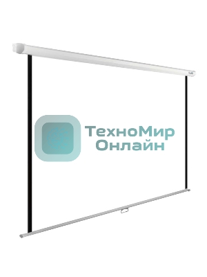 Экран Cactus 220x165 см WallExpert CS-PSWE-220x165-WT 1:1 настенно-потолочный рулонный белый