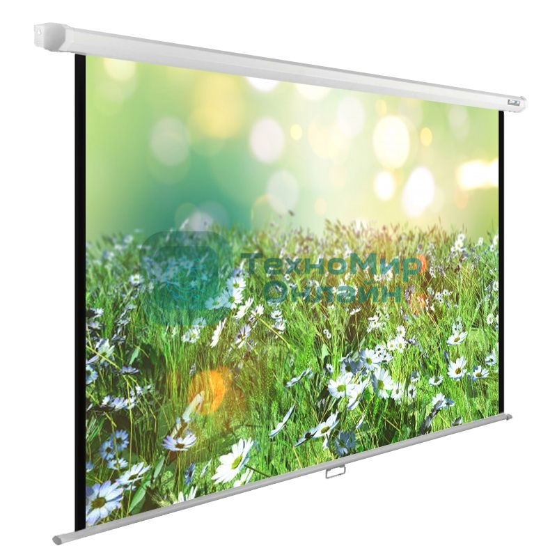 Экран Cactus 200x200 см WallExpert CS-PSWE-200x200-WT 1:1 настенно-потолочный рулонный