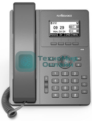 Телефон IP Flyingvoice P10P черный