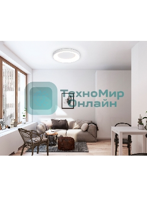 Потолочный светодиодный светильник Ambrella light FZ1401 WH белый IP20 48W 3000K-6500K D500*50 (ПДУ ИК)