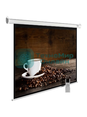 Экран Cactus 300x300 см MotoExpert CS-PSME-300x300-WT 1:1 настенно-потолочный рулонный белый (моторизованный привод)