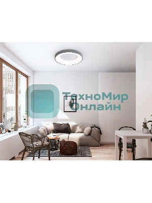 Потолочный светодиодный светильник Ambrella light FZ1402 GR серый IP20 48W 3000K-6500K D500*50 (ПДУ ИК)