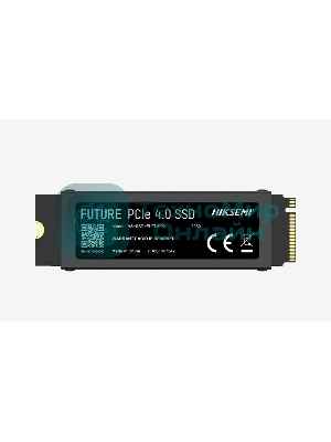 Накопитель SSD HIKSEMI FUTURE, 1024 Gb, PCIe 4.0 x4, M.2 2280, NVMe, R/W 7450/6600