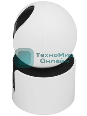 Поворотная IP-Камера Xiaomi Smart Camera C300 Dual EU