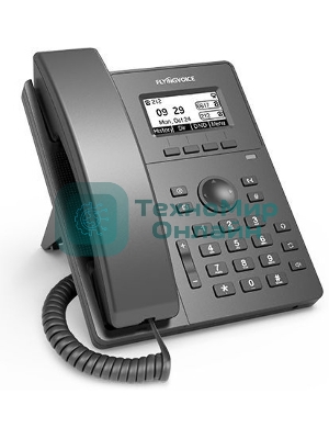 Телефон IP Flyingvoice P10 черный