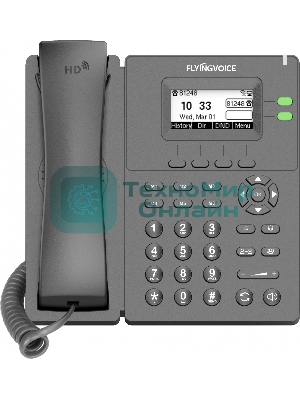 Телефон IP Flyingvoice P20G серый (упак.:1шт)