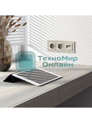 Розетка с заземлением и шторками (дымчатый)