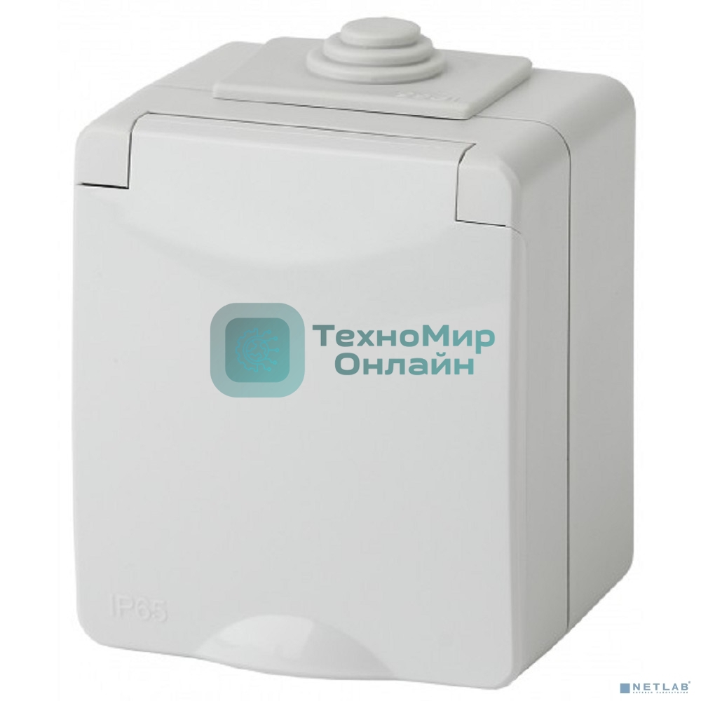 Розетка ЭРА ОП 2P+E 11-2602-03 16А-250В с защ. шторками IP65 сер.