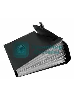 Папка-портфель Бюрократ -BPP6BLCK 6 отделений, A4, пластик, 0.7мм, черный