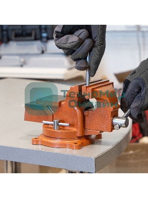 Тиски слесарные Sparta 100мм поворотные с наковальней